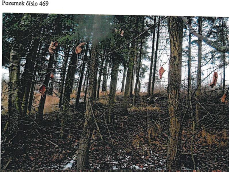 Prodej — Prodej spol. pod. v k.ú. Hruškové Dvory S 1221/24