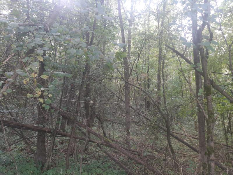 Prodej — S 34/24 Bohuslavice nad Metují