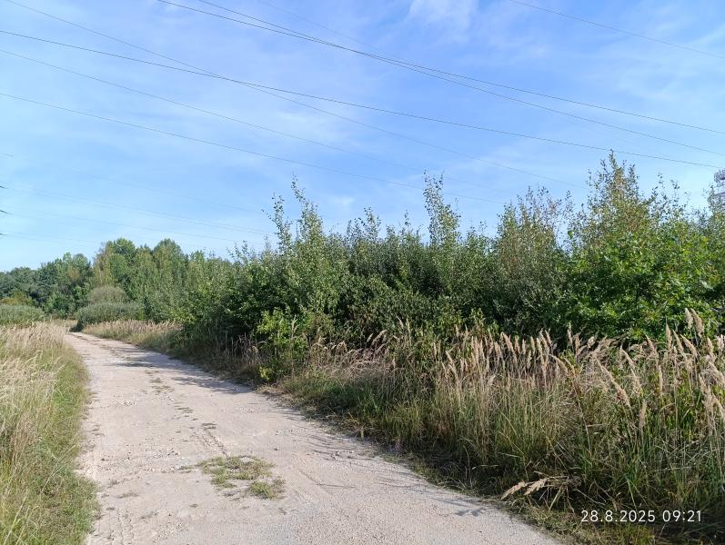 Prodej — S 1112/24 prodej podílů 1/2 v k.ú. Bavorovice