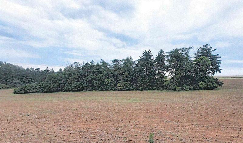 Prodej — Prodej pozemku v k.ú. Pavlice S 1118/24