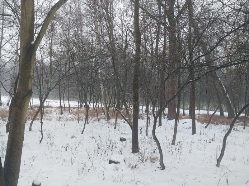 Prodej — S 271/24, Staré Čívice