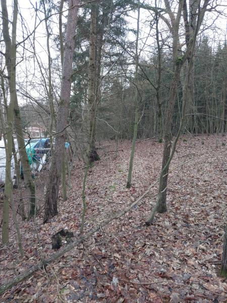 Prodej — S 1256/25 - lesní pozemek Kožlí u Orlíka ZRUŠENO