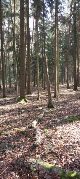 Prodej — S 118/26 prodej pozemků - k.ú. Hvozdec u Lišova
