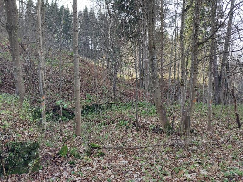 Prodej — S1751/12 p.č. st. 126, p.č. 1576 k.ú. Horní Údolí