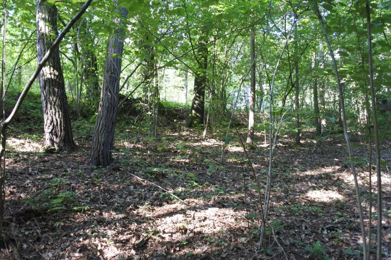 Prodej — S 1257/25 - VŘ k.ú. Strunkovice nad Volyňkou