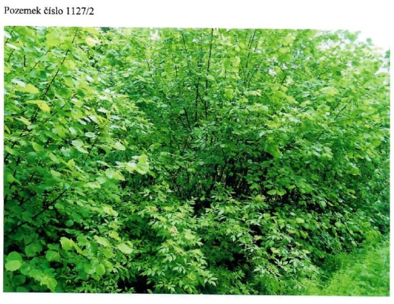 Prodej — Prodej pozemku v k.ú. Strmilov S 252/26