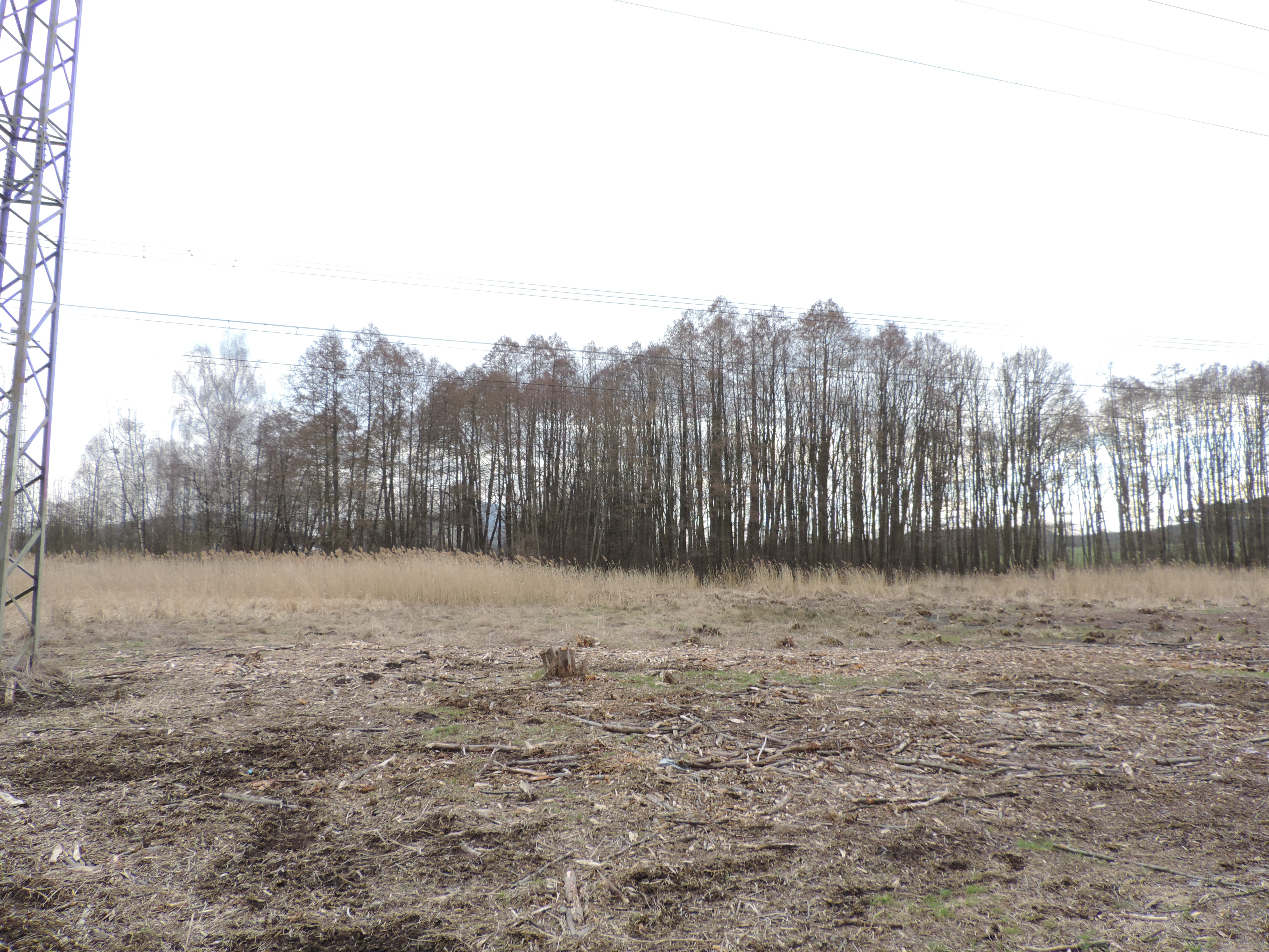 Prodej — Luhov u Mimoně 256/3
